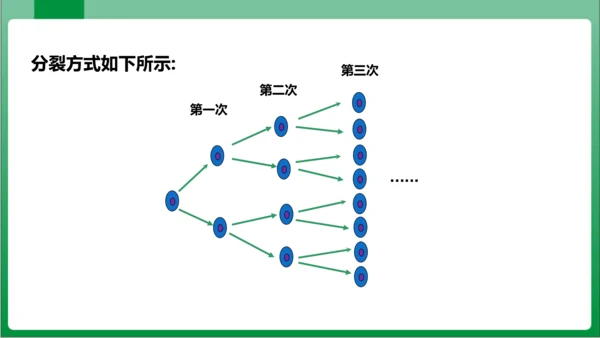 1.5.1 乘方 第1课时 有理数的乘方  课件(共22张PPT)【2023秋人教七上数学高效实用备