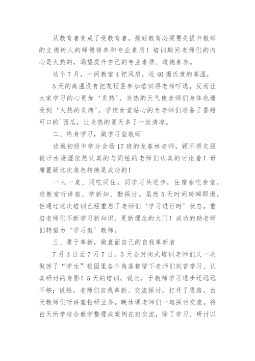 小学教师的暑假培训心得体会.docx