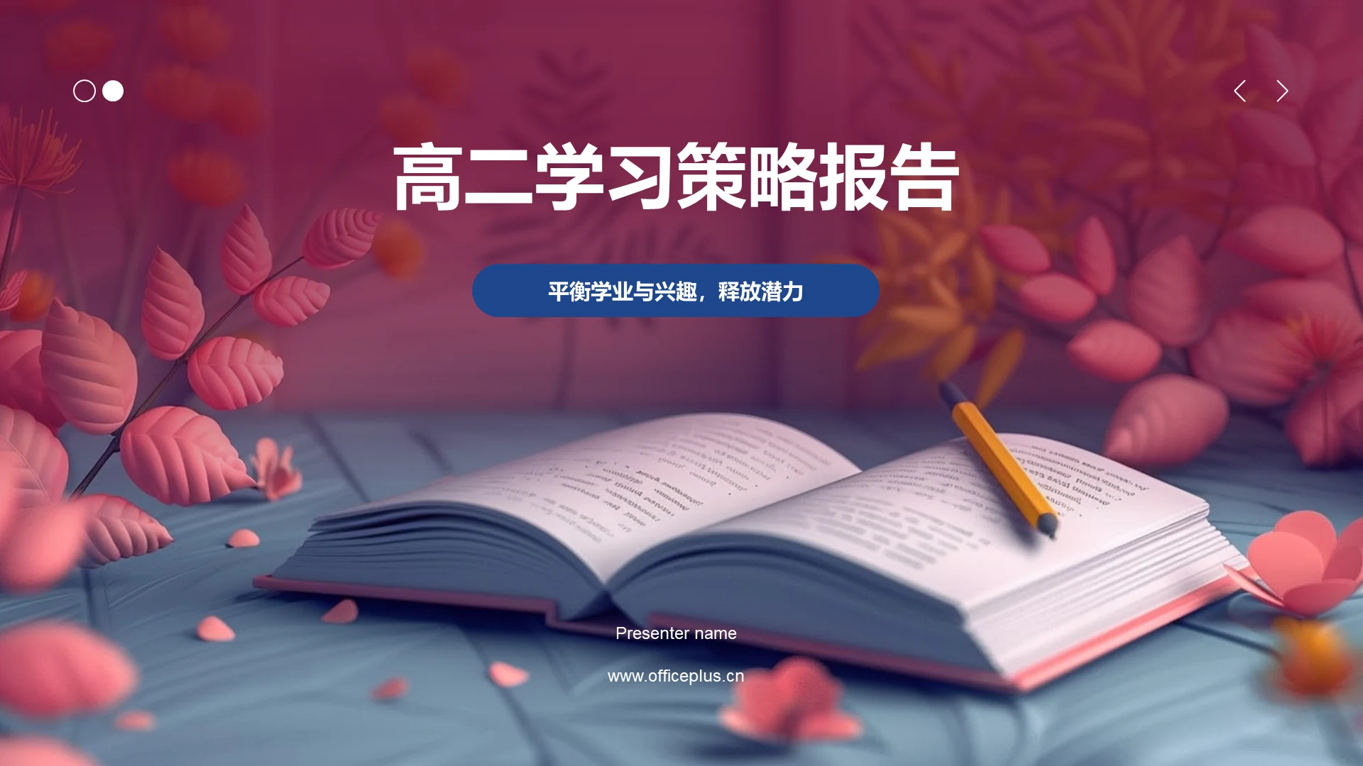 高二学习策略报告PPT模板