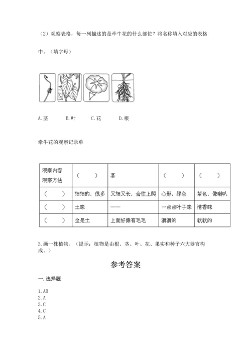 教科版一年级上册科学期末测试卷（名师系列）.docx