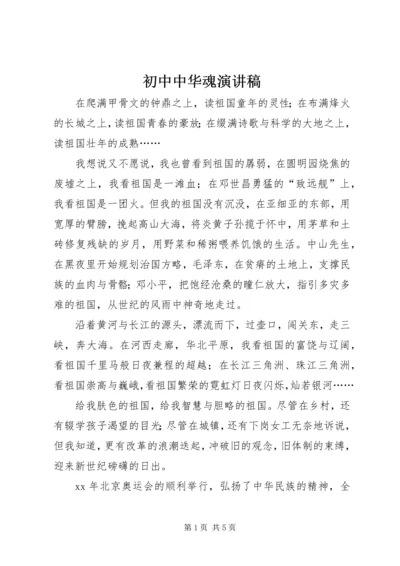 初中中华魂演讲稿 (2).docx