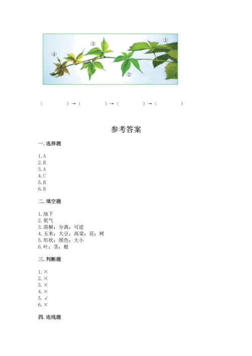 教科版科学一年级上册第一单元《植物》测试卷【必刷】.docx