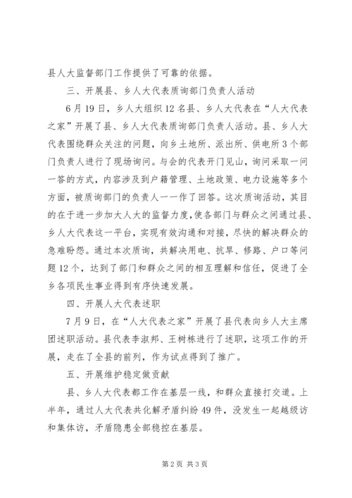 人大某年上半年工作总结和下半年工作计划.docx