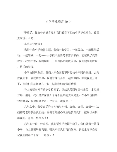 小学毕业赠言20字