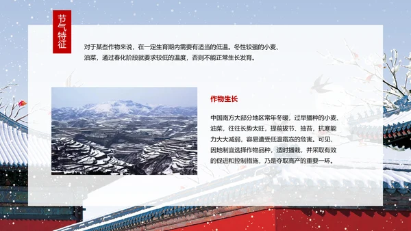 二十四节气大寒教学介绍PPT课件
