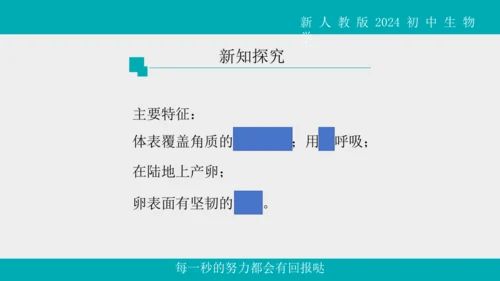 人教版生物七年级上册2.2.2《脊椎动物》（第1课时）课件(共42张PPT)+视频素材