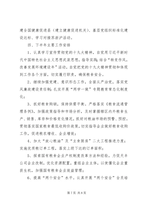 粮食局XX年上半年工作总结及下半年工作安排.docx