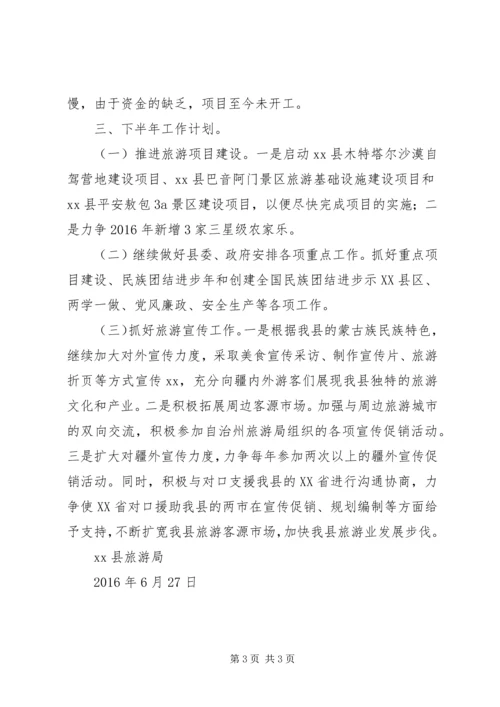 旅游局XX年上半年工作总结及下半年工作计划.docx