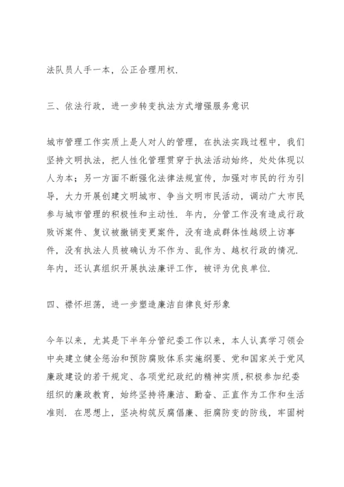 干部年度述法表个人总结.docx