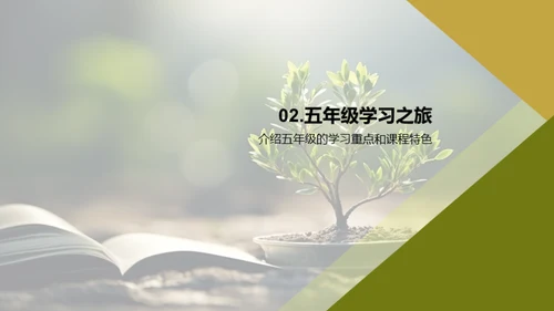 五年级：学习与成长