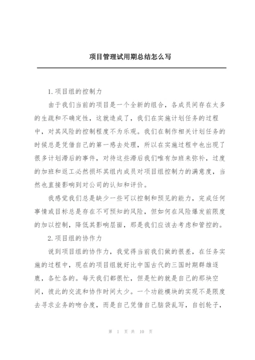 项目管理试用期总结怎么写.docx