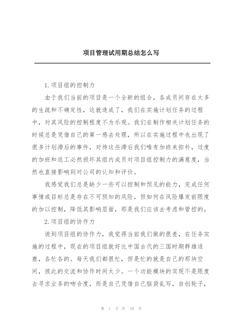 项目管理试用期总结怎么写.docx