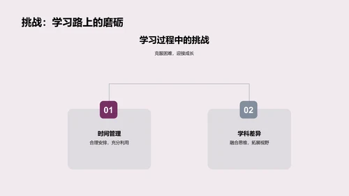 跨学科学习实践PPT模板