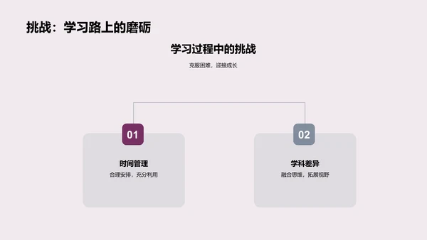 跨学科学习实践PPT模板