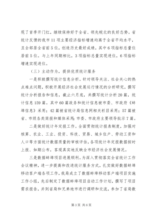 市统计局XX年上半年工作总结及下半年工作计划 (2).docx