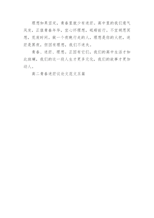 高二青春迷茫议论文范文五篇.docx