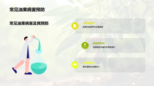 油果种植之全方位解析