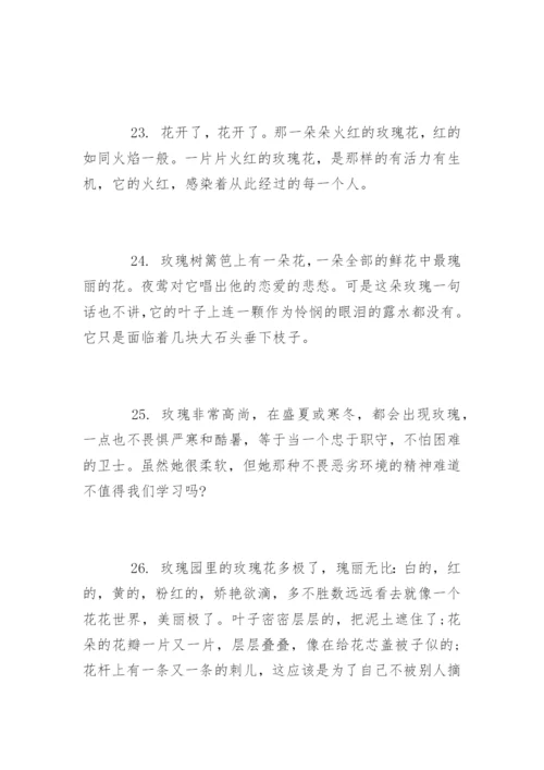 描写玫瑰花的唯美经典句子.docx