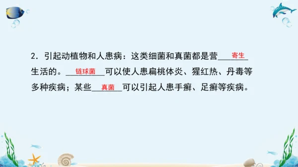 人教版八年级生物上册5.4《细菌和真菌》复习课件（含31张ppt）
