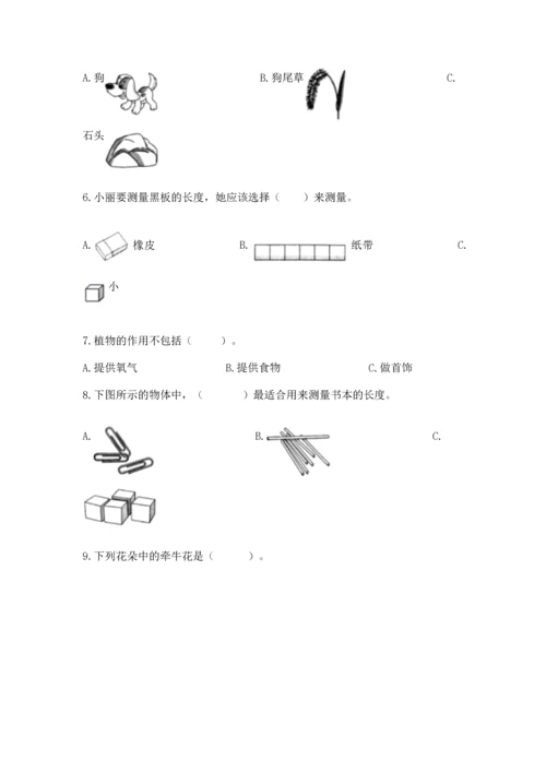 教科版一年级上册科学期末测试卷（基础题）.docx