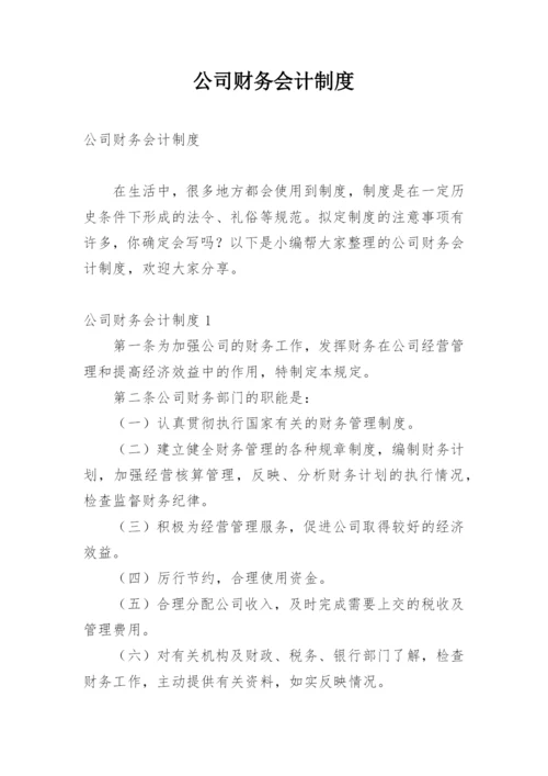 公司财务会计制度.docx