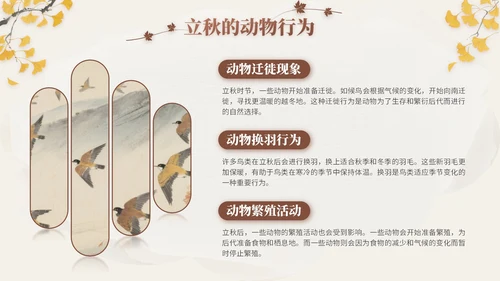 褐色中国风立秋节气文化知识主题班会