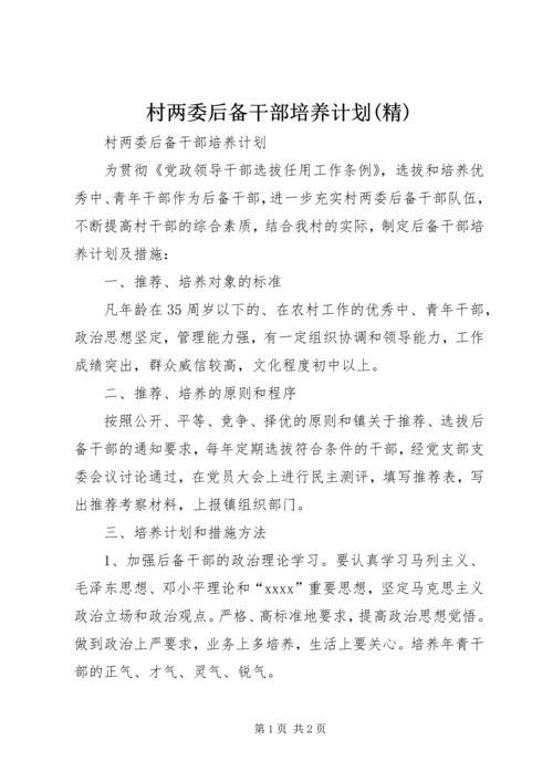 村两委后备干部培养计划(精) (2).docx