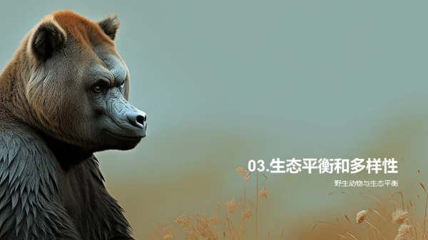简约风其他行业教学课件PPT模板