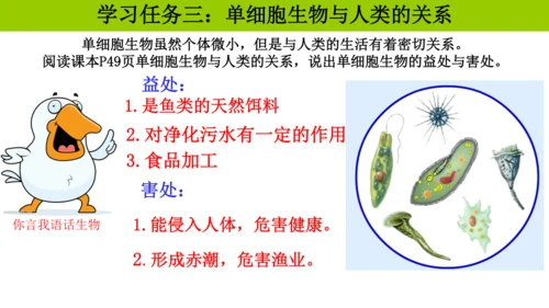 人教版生物七年级上册1.3.4 单细胞生物 教学课件（共22张ppt）+视频素材