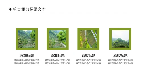 清新乡村旅游新农村建设乡村建设乡村旅游PPT模板