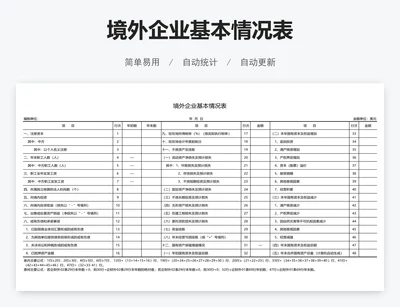 境外企业基本情况表