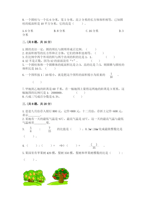 浙教版数学小升初模拟试卷及完整答案（各地真题）.docx