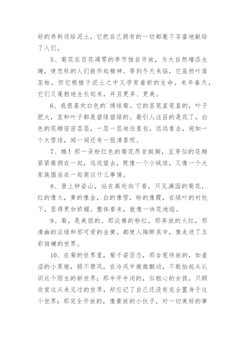 描写菊花的优美句子.docx
