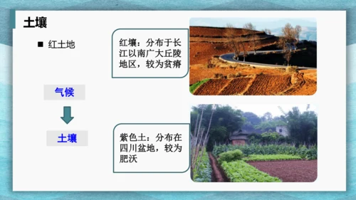 第七章 南方地区 第一课时 复习课课件(共29张PPT)