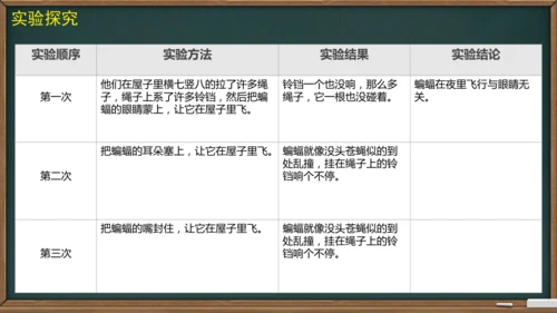6 夜间飞行的秘密（课件）