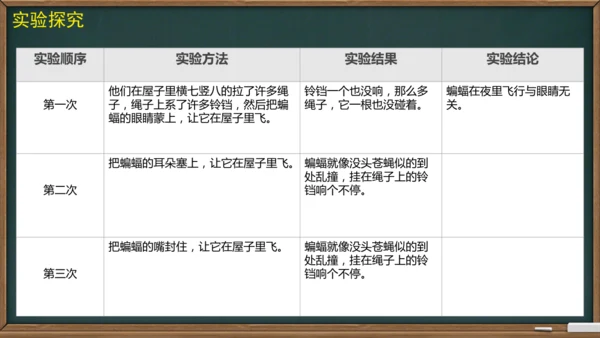 6 夜间飞行的秘密（课件）