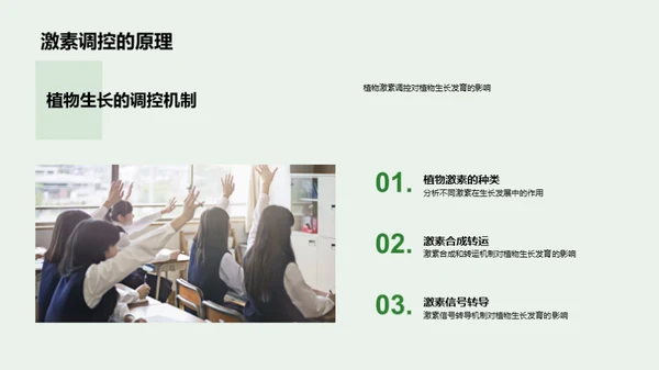 植物生长的秘密