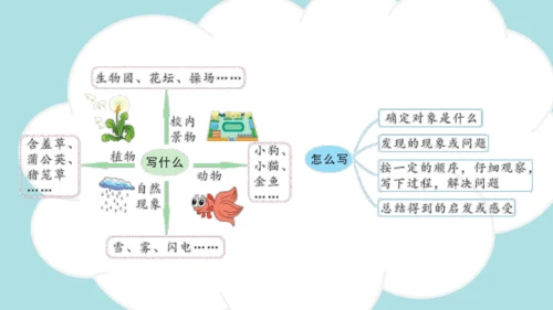 -统编版2024-2025学年三年级语文上册同步精品习作：我们眼中的缤纷世界 课件