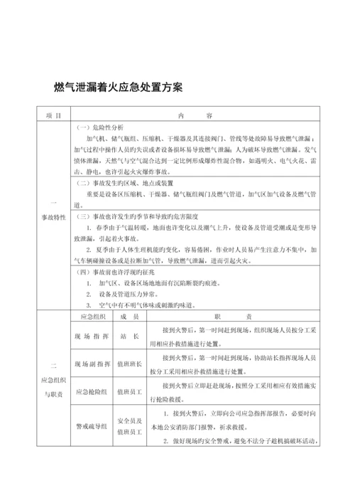 CNG加气站现场处置专题方案生产安全事故应急全新预案.docx