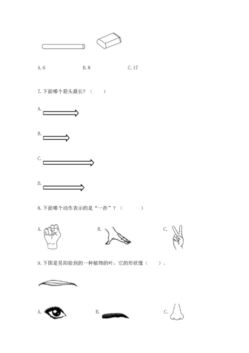 教科版一年级上册科学期末测试卷精品（模拟题）.docx