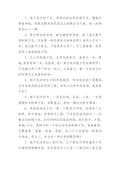描写栀子花的优美段落.docx