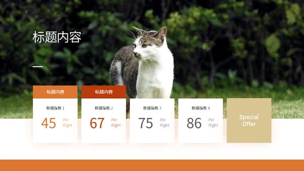 宠物乐园萌宠狗狗主题通用PPT模板
