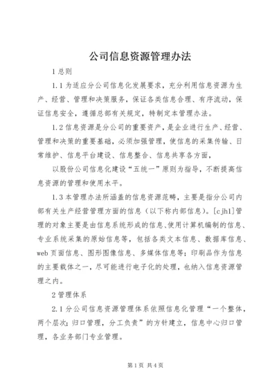 公司信息资源管理办法 (9).docx