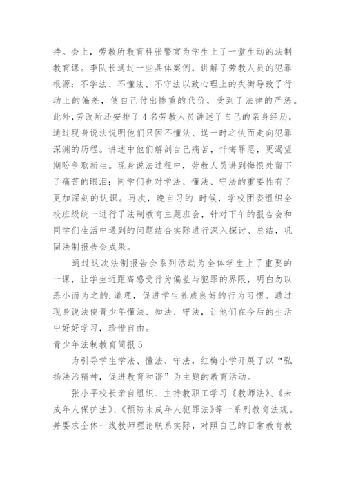 青少年法制教育简报_2.docx