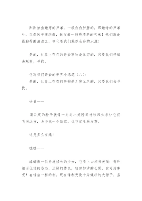 仿写我们奇妙的世界小练笔(精选8篇).docx