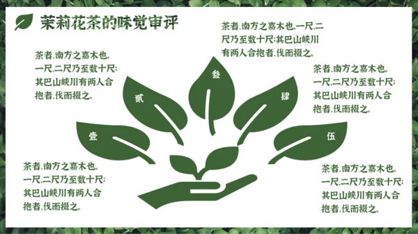 墨绿色中国风小清新茉莉花茶介绍PPT模板