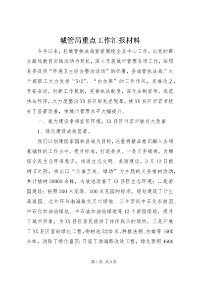 城管局重点工作汇报材料.docx