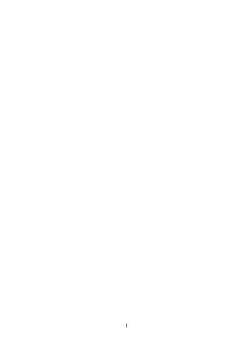 毕业论文（设计）.docx