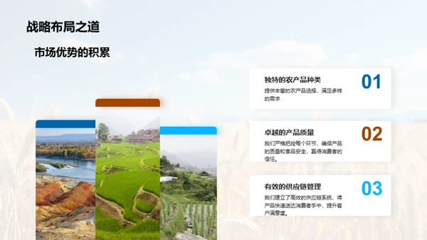 农业市场创新策略