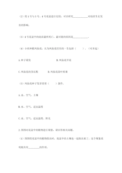 教科版四年级下册科学第一单元《植物的生长变化》测试卷【考点梳理】.docx